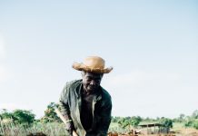 Opinion: Black Farmers Are Still Waiting on the Justice They Were Promised
