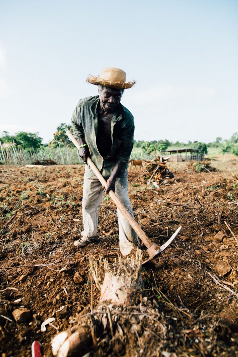 Opinion: Black Farmers Are Still Waiting on the Justice They Were Promised