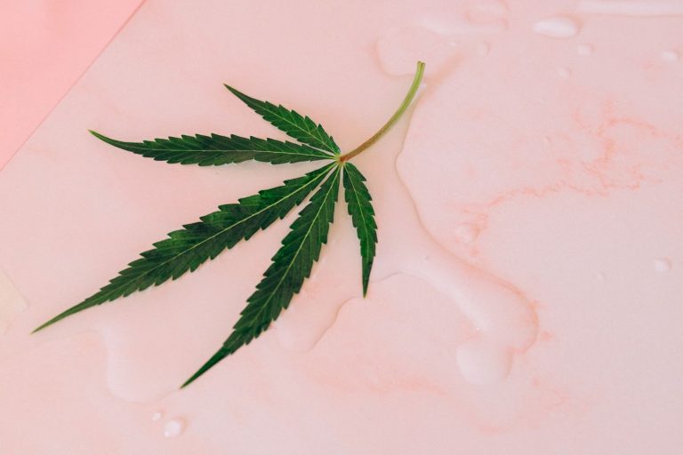 DEA Marijuana Rescheduling Hearings: What Schedule III Means for Black Communities